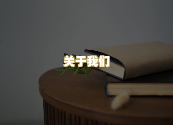 关于我们